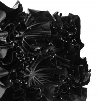 4658.260909.194007_blackflower_mh29_2